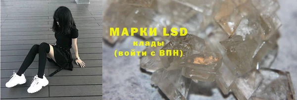 стафф Семилуки